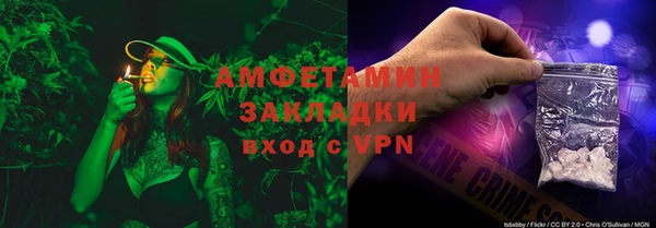 mix Инта
