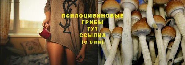 2c-b Абдулино