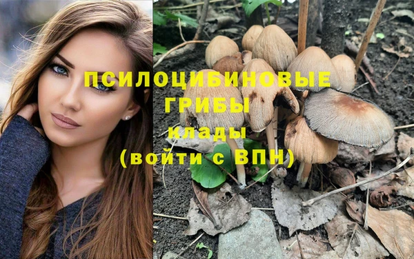 PSILOCYBIN Пролетарск