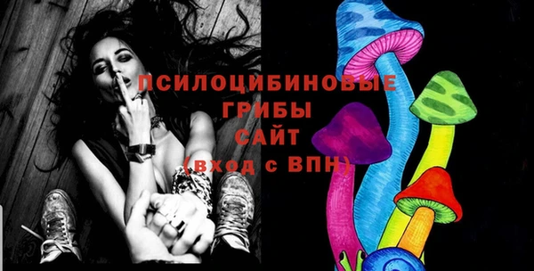 амф Абинск